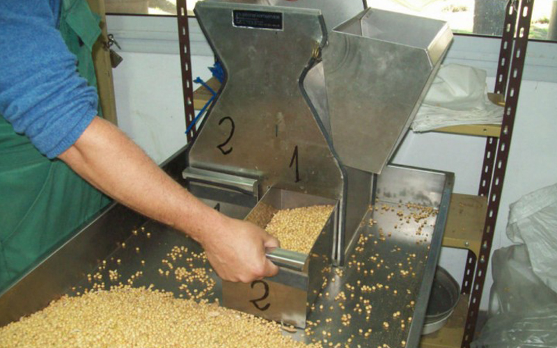 food-grains-inspection